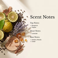 Wilder scent notes — top bergamot, pepper; heart lavender; base ambery woods, cedar