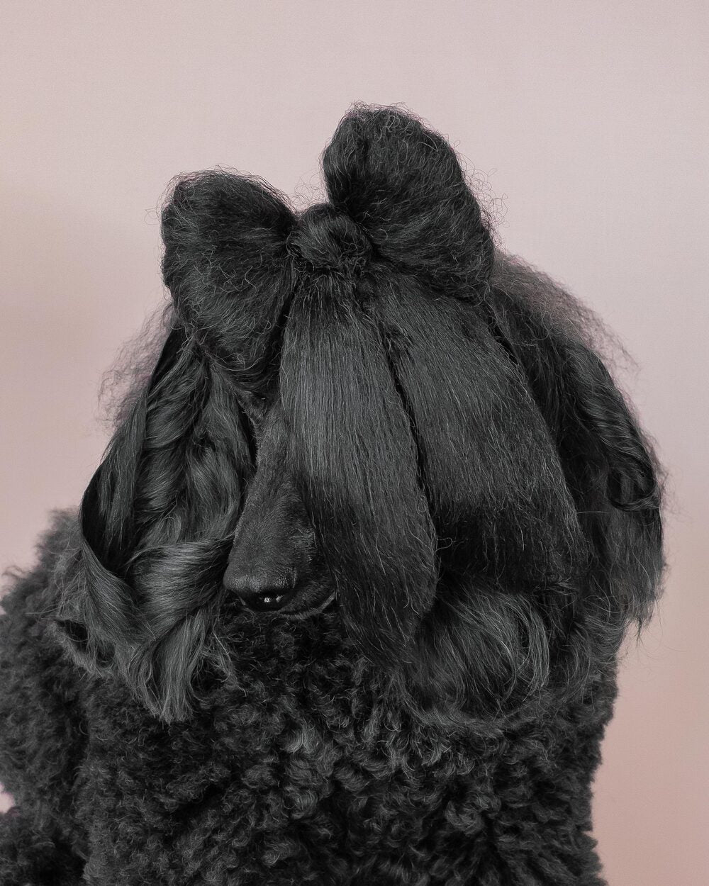 Developed in a real salon